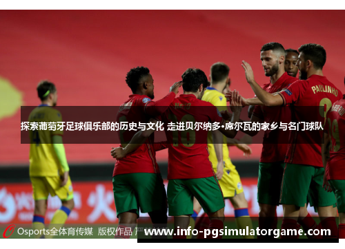 探索葡萄牙足球俱乐部的历史与文化 走进贝尔纳多·席尔瓦的家乡与名门球队