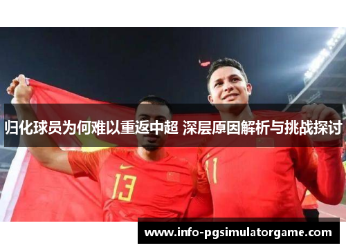 归化球员为何难以重返中超 深层原因解析与挑战探讨