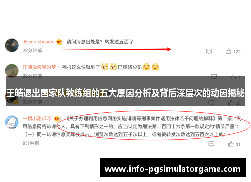 王皓退出国家队教练组的五大原因分析及背后深层次的动因揭秘